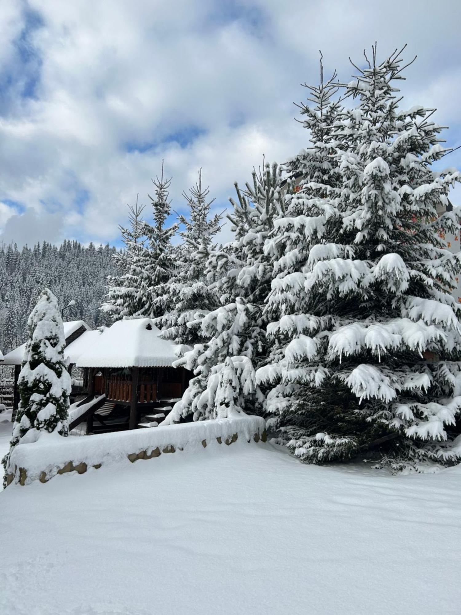 Guest House Kaspiy Bukovel Esterno foto